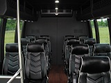 black 15passenger executive buses, if