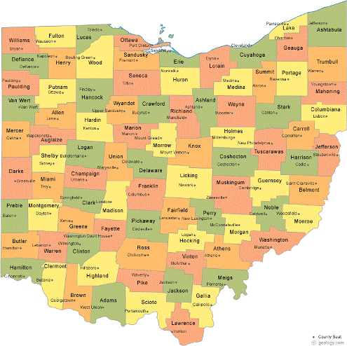 bus sales, ohio